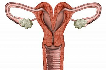 Пороки развития матки и маточных труб