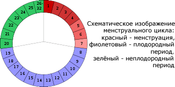 Календарный метод предохранения, метод Огино-Кнауса