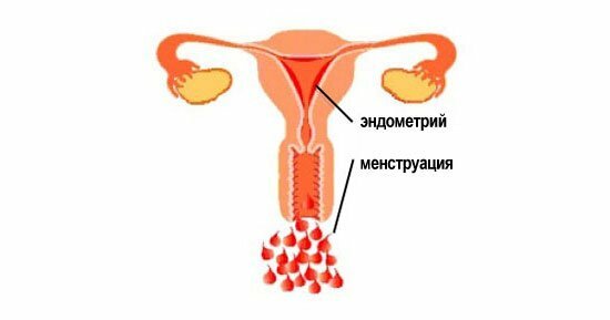Что такое менструация